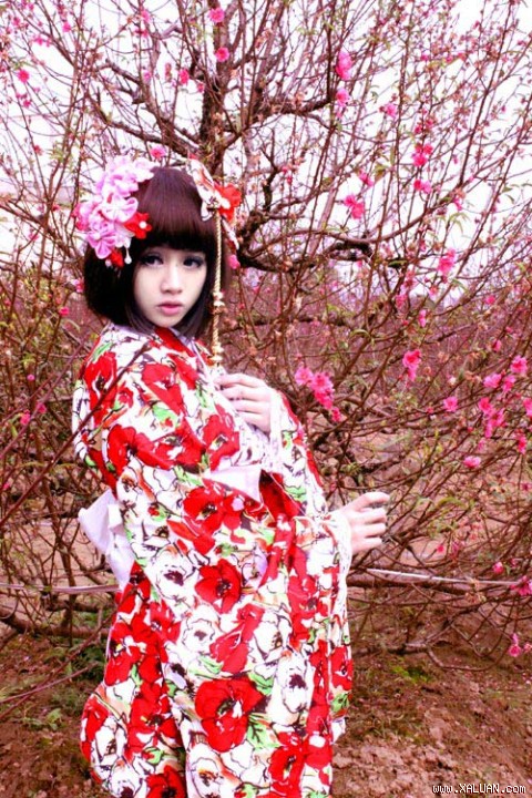 Chibi cosplay bên hoa đào Nhật Tân